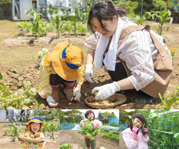 パソコン用の画像